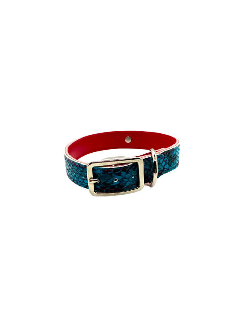 Turquoise Python Pet Collars