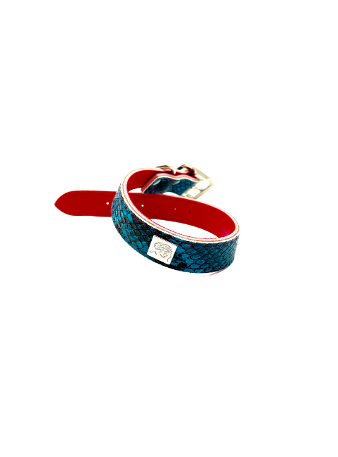 Turquoise Python Pet Collars