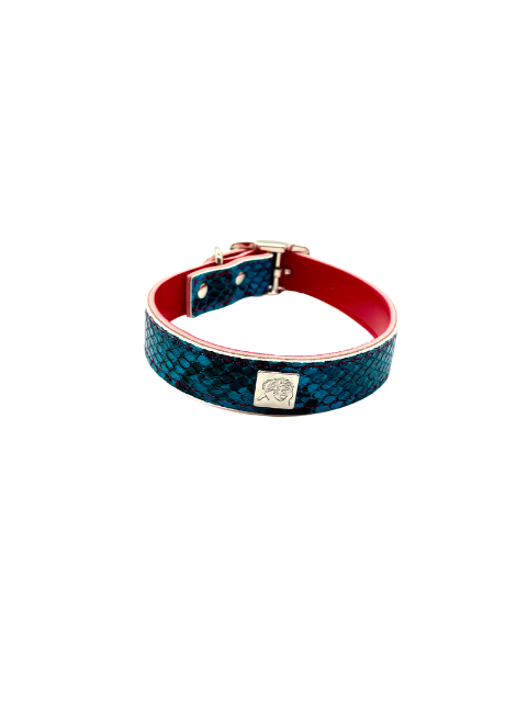 Turquoise Python Pet Collars