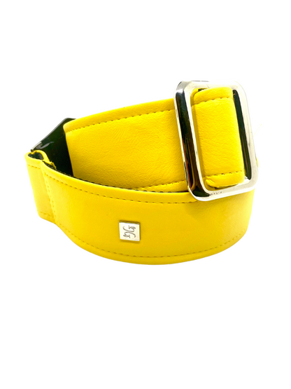 FLY 2” Guitar Strap