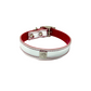 Mirror Reflective Collars