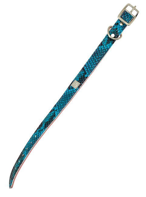 Turquoise Python Pet Collars